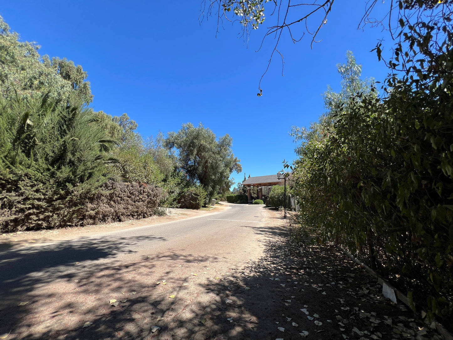 María Pinto. RM. | Parcela en Condominio El Bosque Country Club (venta)