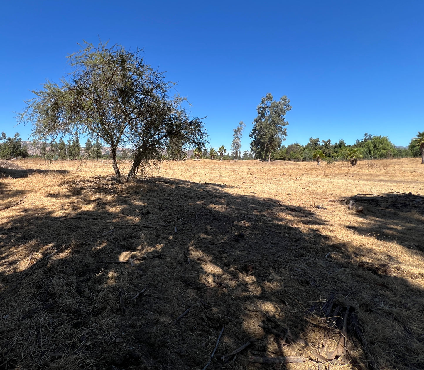 María Pinto. RM. | Parcela en Condominio El Bosque Country Club (venta)